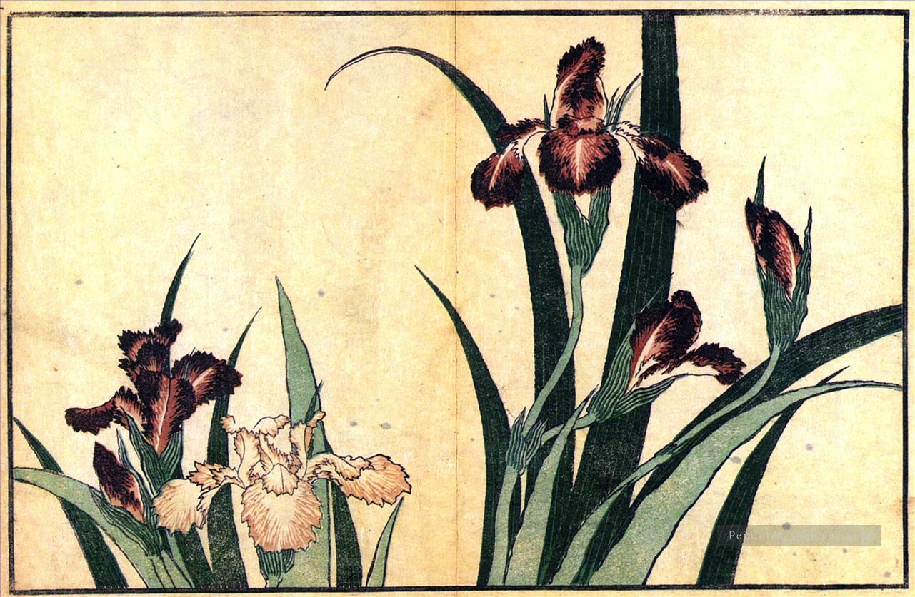 Iris Katsushika Hokusai japonais Peintures à l'huile
